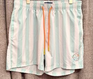 Broken Threads Mint Stripe Swim Trunks Surf Beach Resort Coastal Preppy Size L